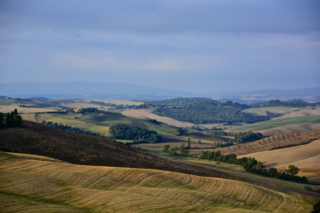 Sienese Countryside, A. Cinotti